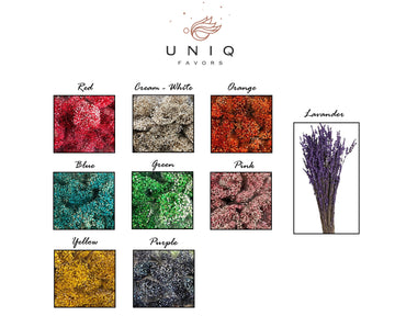 Wedding Gifts for Guests, Custom Favors in Bulk, Glass Dome Party Favors, Thank You Gifts, Rustic Wedding Decor, Boho Wedding Favors